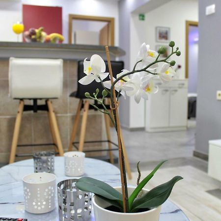 Apartment Marino 마카르스카 외부 사진